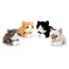 No Brand Cuddle Kittens Sml Assorted -Christmas gift Sales Store cuddle kittens sml assorted